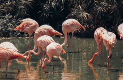 4 Days Phu Quoc Island Tour Package highlight 2