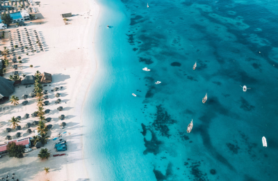 11 Days Tanzania Safari & Zanzibar Beach Holiday Package highlight 1