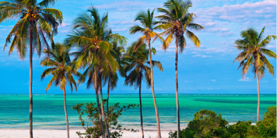 9 Days Tarangire, Serengeti, Ngorongoro & Zanzibar Tour Package tour photo 1