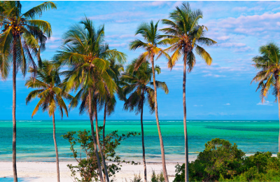 9 Days Tarangire, Serengeti, Ngorongoro & Zanzibar Tour Package highlight 1
