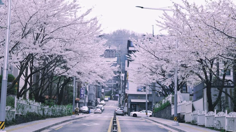 Iconic K-Drama Locations