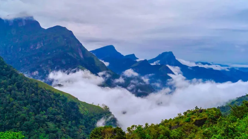 Image Source: https://www.google.com/url?sa=i&url=https%3A%2F%2Fwww.reddottours.com%2Fsri-lanka-activities%2Fknuckles-mountain-range&psig=AOvVaw3a074l1j5uNGDFiojSf_jV&ust=1732602857900000&source=images&cd=vfe&opi=89978449&ved=0CBQQjRxqFwoTCLi4w-Du9okDFQAAAAAdAAAAABAE