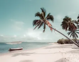 Mozambique