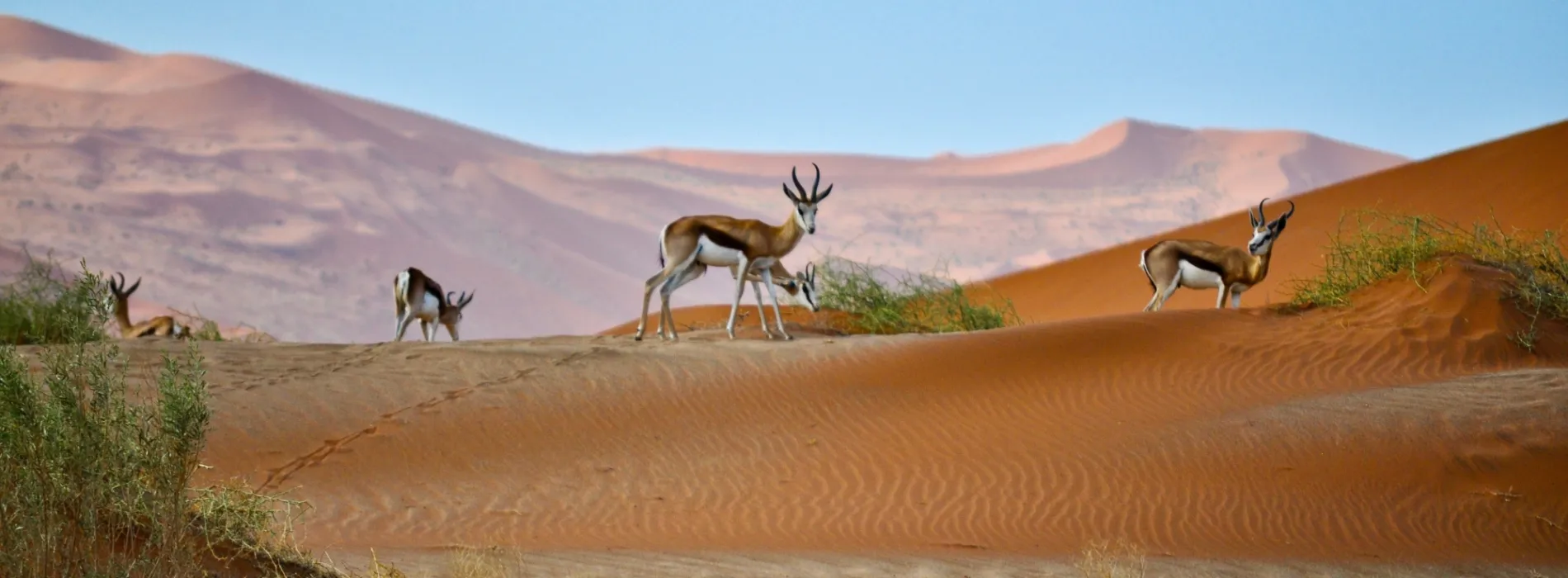 Namibia