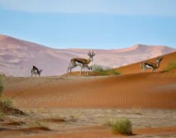 Namibia