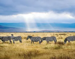 Tanzania