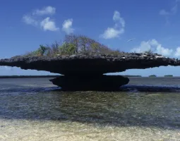 Aldabra Atoll