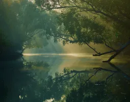 Sundarban