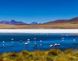 Salar de Uyuni