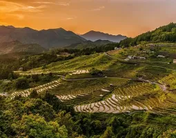 Banaue Rice Terraces