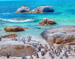 Boulders Beach