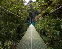 Monteverde Cloud Forest Reserve