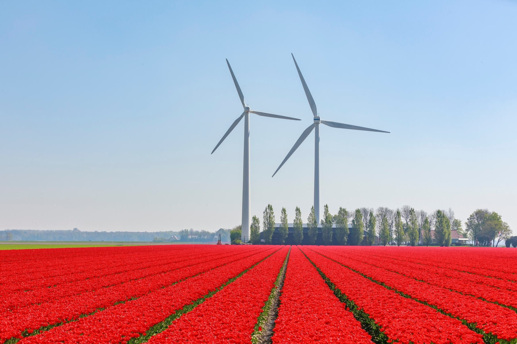 Netherlands