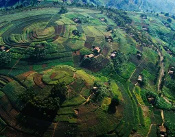 Uganda