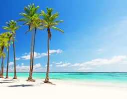 Punta Cana