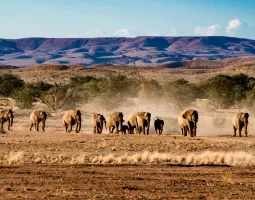Etosha National Park