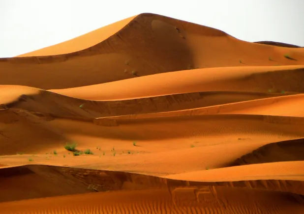 10 Day Nile Egypt Experience & White-Desert Safari