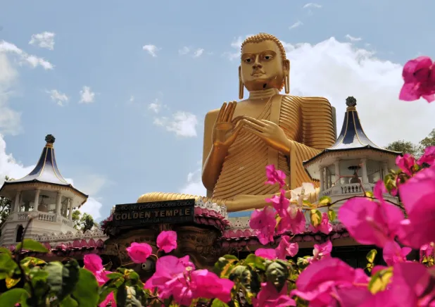 Discover Sri Lanka