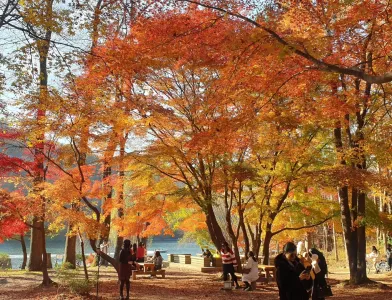 Seoul & Nami Island in 5 Days