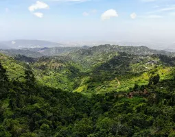 Blue Mountains