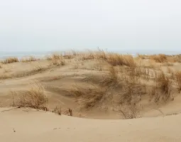 Curonian Spit National Park