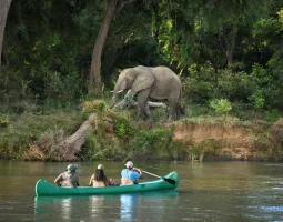 Lower Zambesi National Park