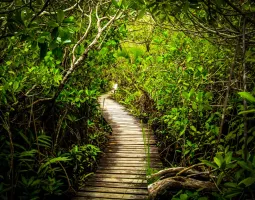 Lucayan National Park