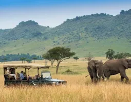 Maasai Mara