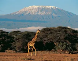 Mount Kilimanjaro