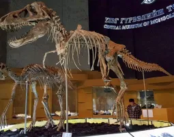 National Museum of Mongolia