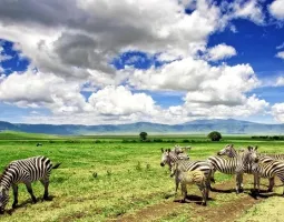 Ngorongoro Conservation Area