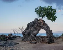 Baucau