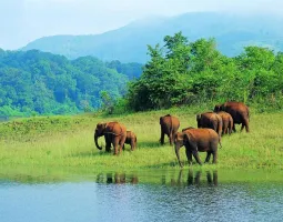 Thekkady