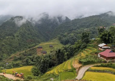 Vietnam Essence Explorer