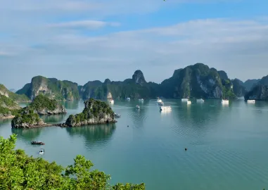 Vietnam Essence Explorer