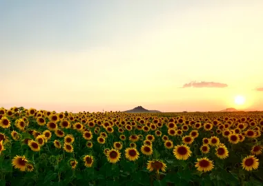 Turkish Odyssey: From Istanbul to Antalya in 12 Days