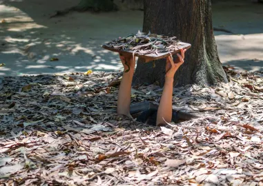 5-Day Southern Vietnam Tour