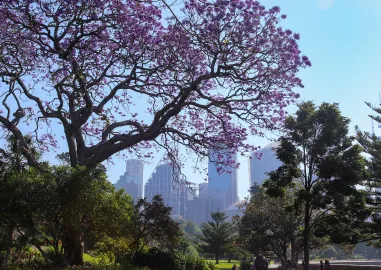 Sydney Sojourn  7 Nights of Aussie Adventures