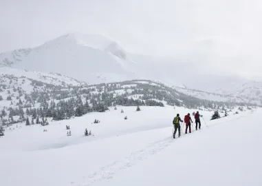 Alaska Grand Discovery Package
