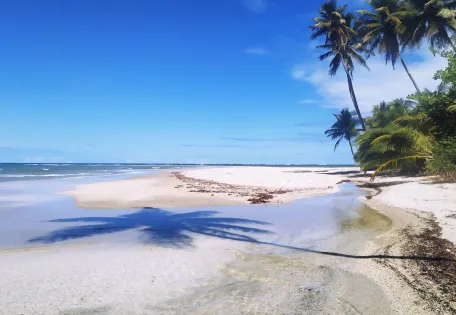 Day 12: Leisure on Boipeba Island