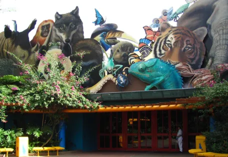 Day 03: Orlando Wild