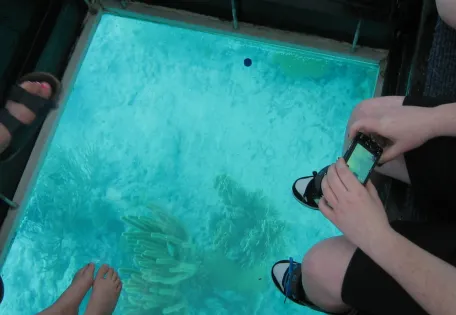Day 04: Glass-Bottom Boat Ride
