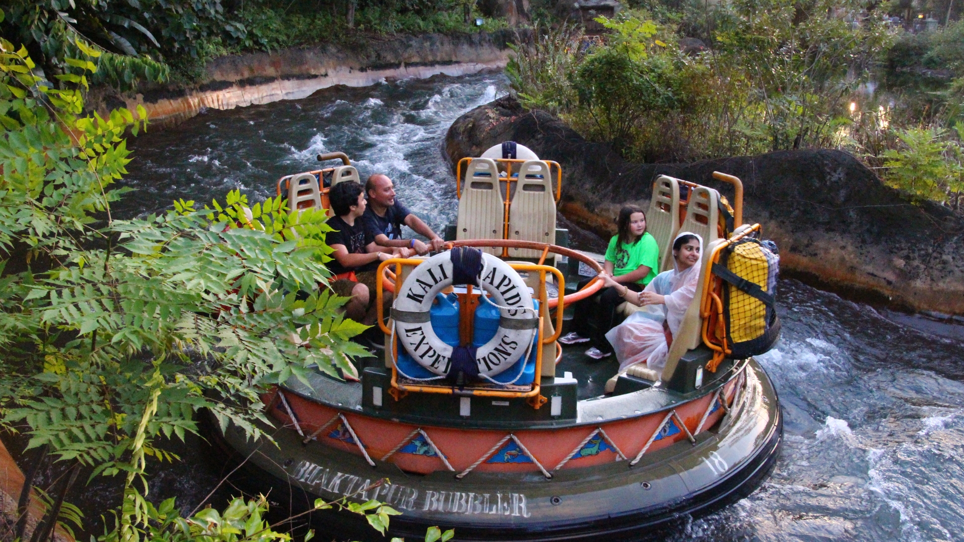 Day 04: Animal Kingdom Wild