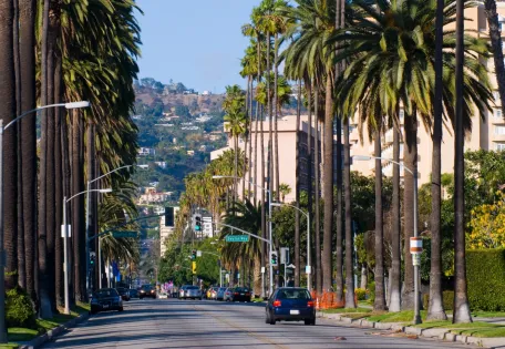 Day 04: LA City & Glamour