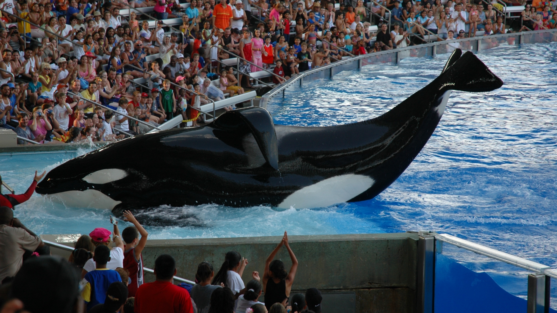 Day 05: SeaWorld Immersion