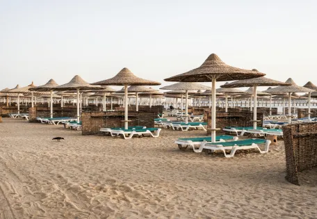 Day 05: Sandbox or Seafoam - Your Call