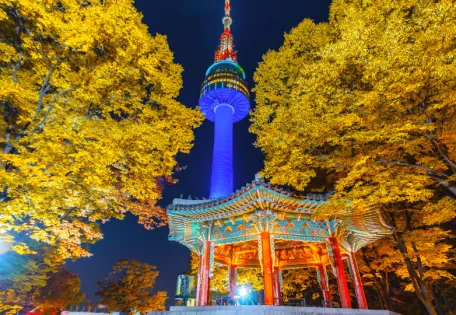 Day 06:- SEOUL-DEPARTURE  (B)