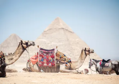 Pyramids to Skyscrapers: Egypt and Dubai Tour