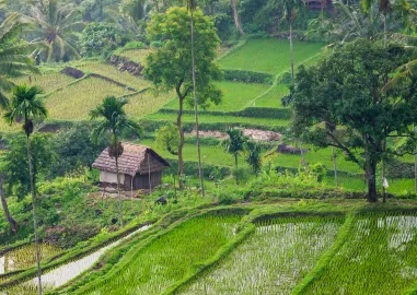 Panoramic Mount Rinjani Hike