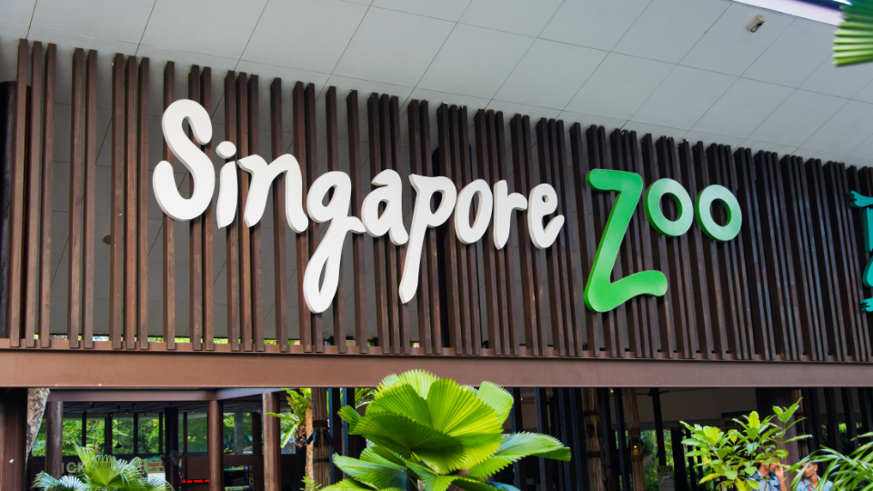 Singapore Escapade City Tour